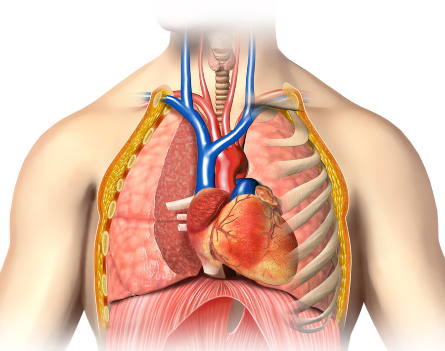 经常咳嗽、胸痛要警惕是肺癌？肺癌早期的5大症状，早发现能救命